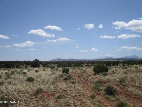 7774 Lasso Loop, Williams, AZ 86046 photo 14
