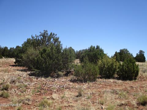 7774 Lasso Loop, Williams, AZ 86046 photo 23