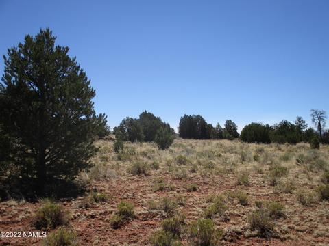 7774 Lasso Loop, Williams, AZ 86046 photo 21