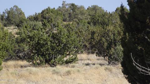 11839 Mesa View Rd, Williams, AZ 86046 photo 5