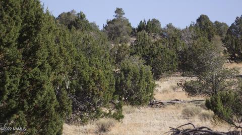 11839 Mesa View Rd, Williams, AZ 86046 photo 4
