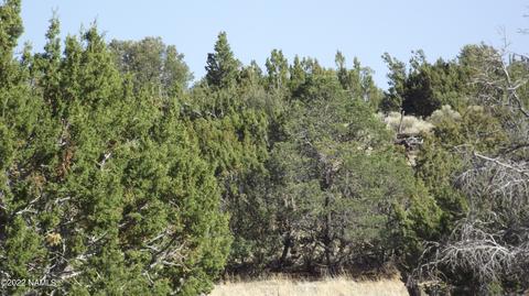 11839 Mesa View Rd, Williams, AZ 86046 photo 7