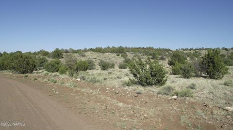 11839 Mesa View Rd, Williams, AZ 86046 photo 11