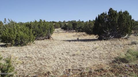 11839 Mesa View Rd, Williams, AZ 86046 photo 10