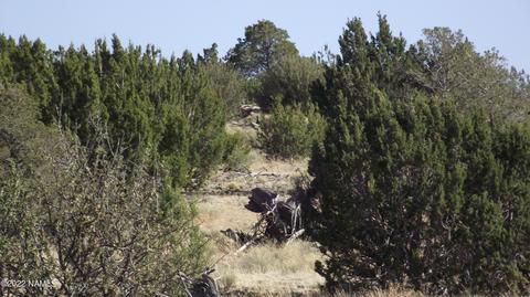 11839 Mesa View Rd, Williams, AZ 86046 photo 6