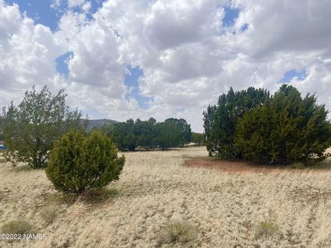 305 E Greenbriar Dr, Williams, AZ 86046 photo 11