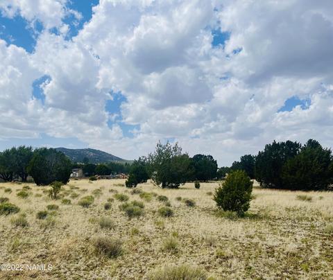 305 E Greenbriar Dr, Williams, AZ 86046 photo 5