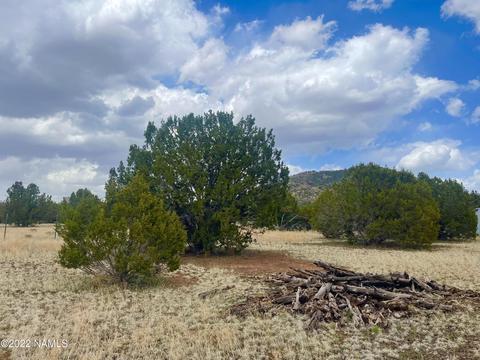 305 E Greenbriar Dr, Williams, AZ 86046 photo 8