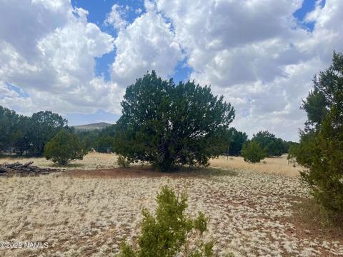 305 E Greenbriar Dr, Williams, AZ 86046 photo 1