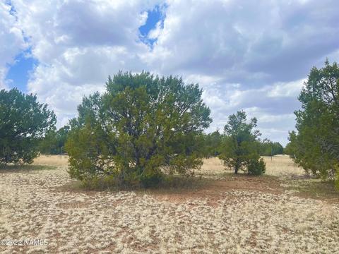 305 E Greenbriar Dr, Williams, AZ 86046 photo 3