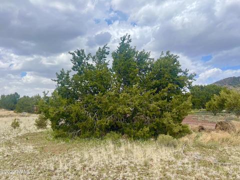 305 E Greenbriar Dr, Williams, AZ 86046 photo 7