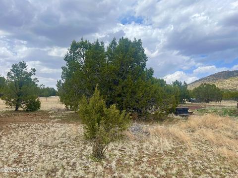 305 E Greenbriar Dr, Williams, AZ 86046 photo 12