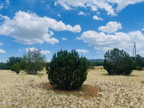 305 E Greenbriar Dr, Williams, AZ 86046 photo 13