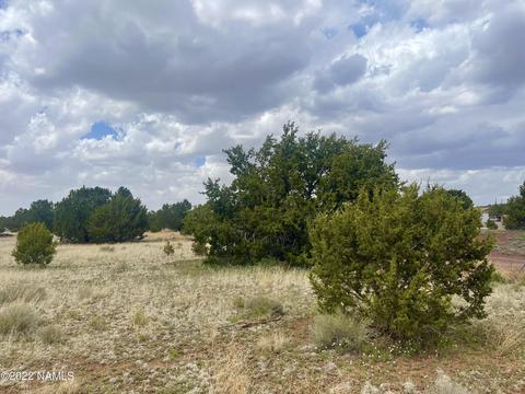 305 E Greenbriar Dr, Williams, AZ 86046 photo 4
