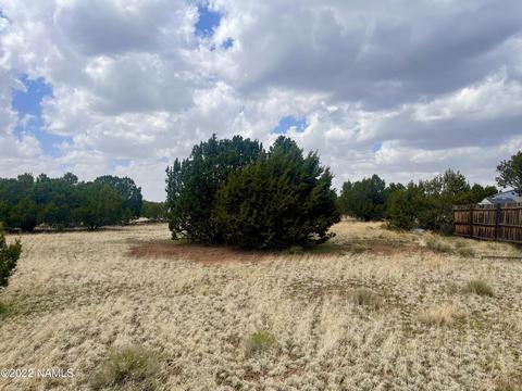 305 E Greenbriar Dr, Williams, AZ 86046 photo 6