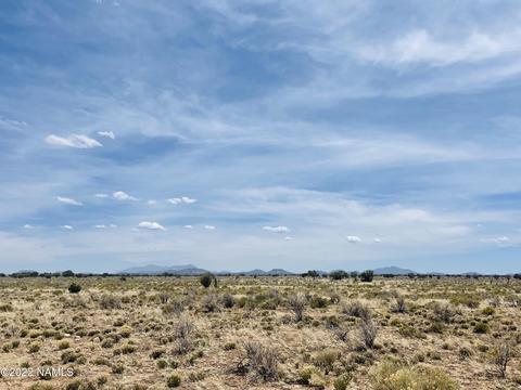 275 E Wesleyan Ave, Williams, AZ 86046 photo 4