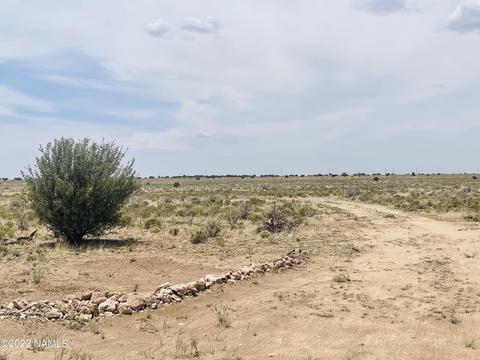 275 E Wesleyan Ave, Williams, AZ 86046 photo 17