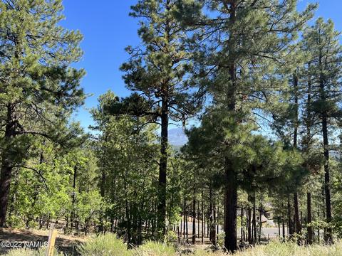 4140 S Big Sky #200, Flagstaff, AZ 86005