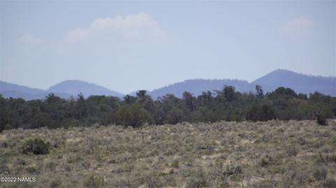 1861 E Vernon Rd, Williams, AZ 86046 photo 5