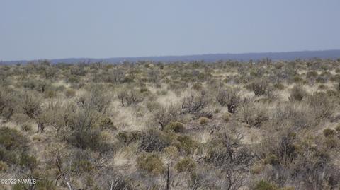 1861 E Vernon Rd, Williams, AZ 86046 photo 3