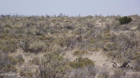 1861 E Vernon Rd, Williams, AZ 86046 photo 2