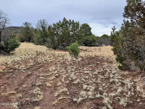 1374 E Antler Ln #527, Williams, AZ 86046