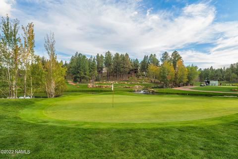 2741 E Byrds View Dr, Flagstaff, AZ 86005 photo 41