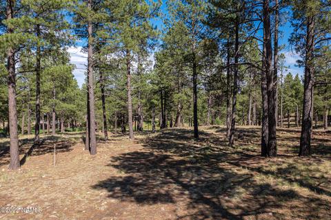 2741 E Byrds View Dr, Flagstaff, AZ 86005 photo 9