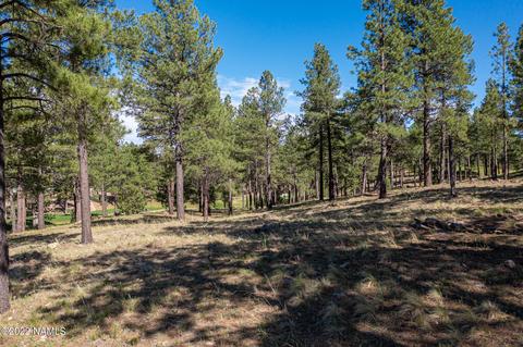 2741 E Byrds View Dr, Flagstaff, AZ 86005 photo 7