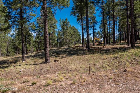 2741 E Byrds View Dr, Flagstaff, AZ 86005 photo 6
