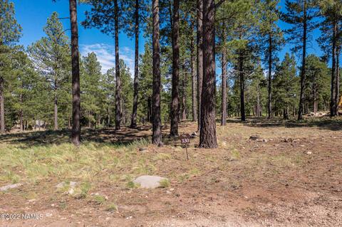 2741 E Byrds View Dr, Flagstaff, AZ 86005 photo 8