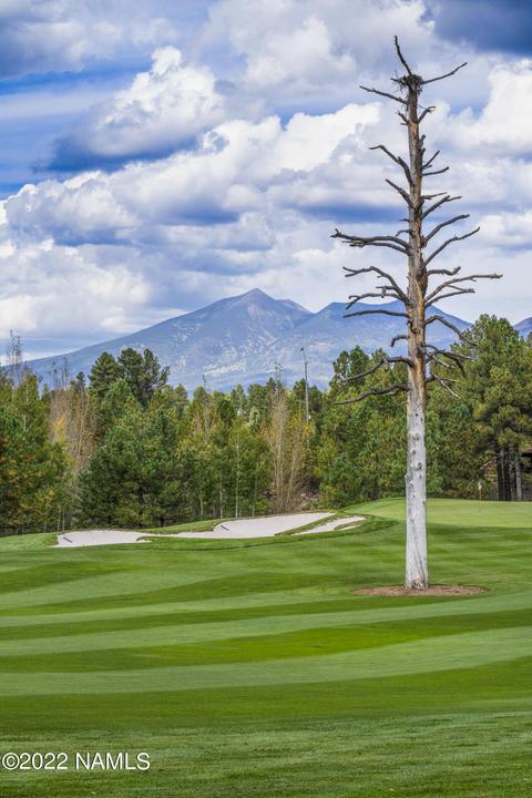 2741 E Byrds View Dr, Flagstaff, AZ 86005 photo 46