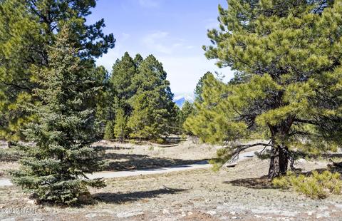 230 E Mohawk Dr, Flagstaff, AZ 86005 photo 39