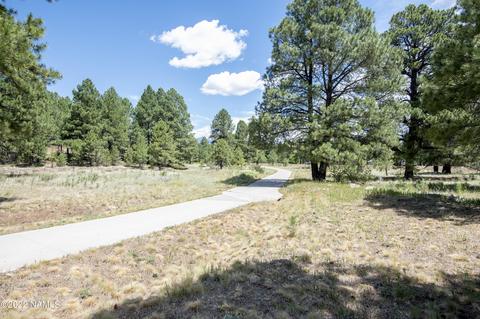 230 E Mohawk Dr, Flagstaff, AZ 86005 photo 41