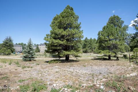 230 E Mohawk Dr, Flagstaff, AZ 86005 photo 40