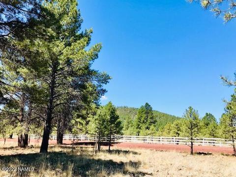 7019 E Long Bow Dr, Williams, AZ 86046 photo 7