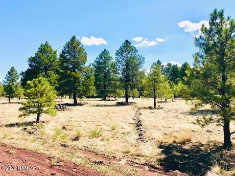 7019 E Long Bow Dr, Williams, AZ 86046 photo 6