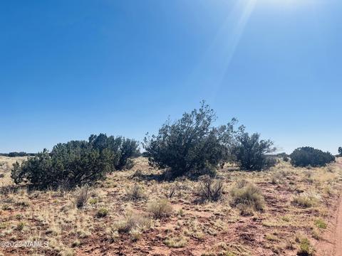 3628 E Valencia Rd, Williams, AZ 86046 photo 11
