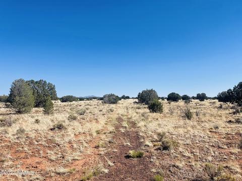 3628 E Valencia Rd, Williams, AZ 86046 photo 10