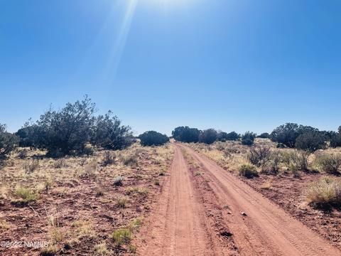 3628 E Valencia Rd, Williams, AZ 86046 photo 13