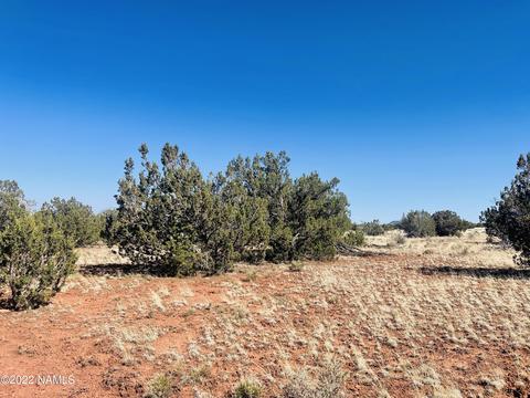 3628 E Valencia Rd, Williams, AZ 86046 photo 12