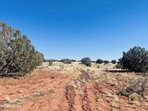 3628 E Valencia Rd, Williams, AZ 86046 photo 14
