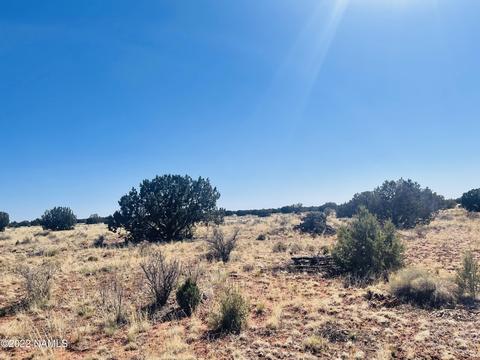 3628 E Valencia Rd, Williams, AZ 86046 photo 9