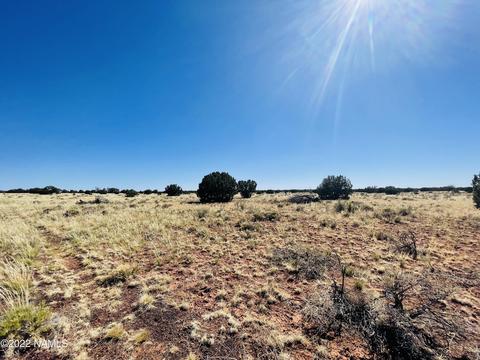 3628 E Valencia Rd, Williams, AZ 86046 photo 3