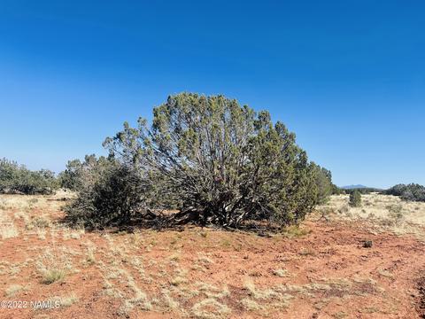3628 E Valencia Rd, Williams, AZ 86046 photo 4
