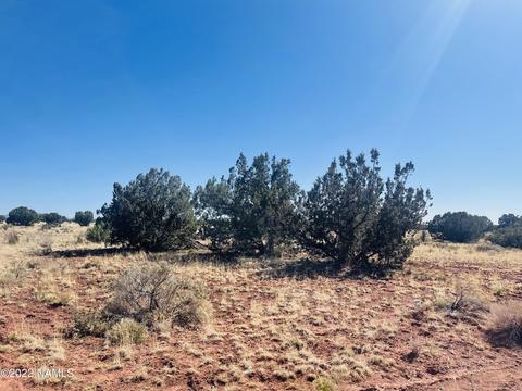 3628 E Valencia Rd, Williams, AZ 86046 photo 15