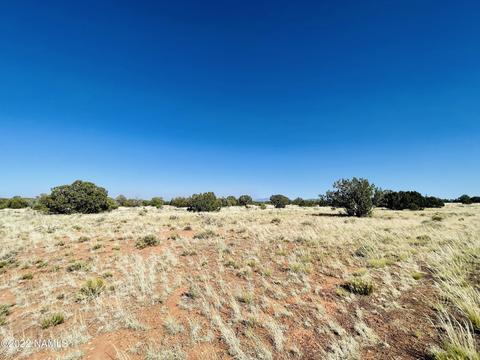 3628 E Valencia Rd, Williams, AZ 86046 photo 6