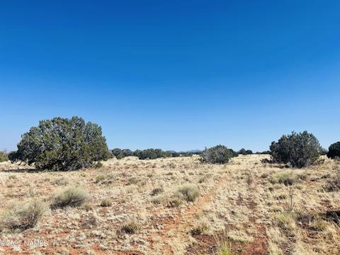 3628 E Valencia Rd, Williams, AZ 86046 photo 8