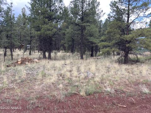 7854 E Jolly Rogue Ln #153, Williams, AZ 86046