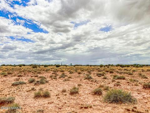 5176 Raven Rd, Snow Flake, AZ 85937 photo 9